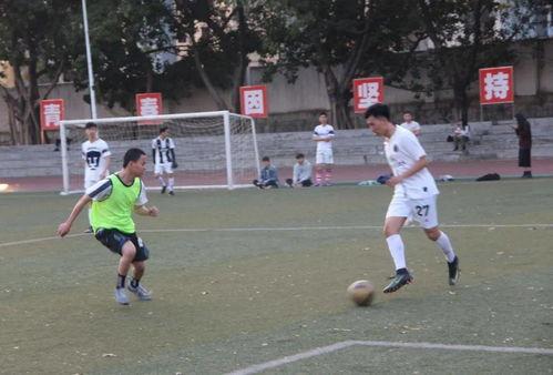 体育会系在线观看,在线观看体育会系精彩瞬间