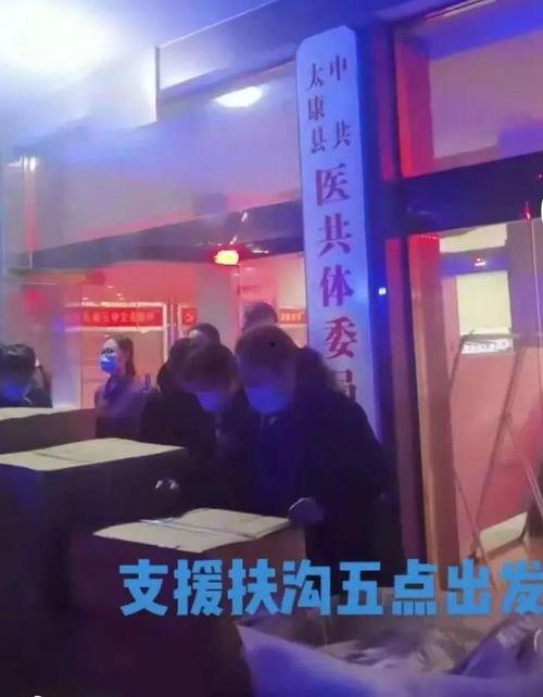 太康新闻爆料,揭秘事件背后真相